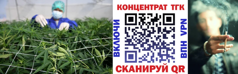 где можно купить   Котово  ТГК концентрат 